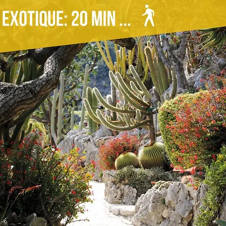 Apartamento Serenity - Sea View - 2 Bedrooms, 3 Beds To 7 People Cap-d'Ail