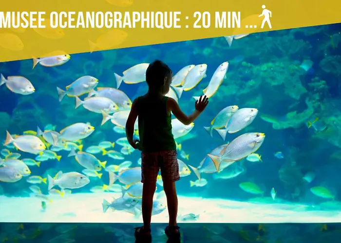 公寓 Serenity - Sea View - 2 Bedrooms, 3 Beds To 7 People *