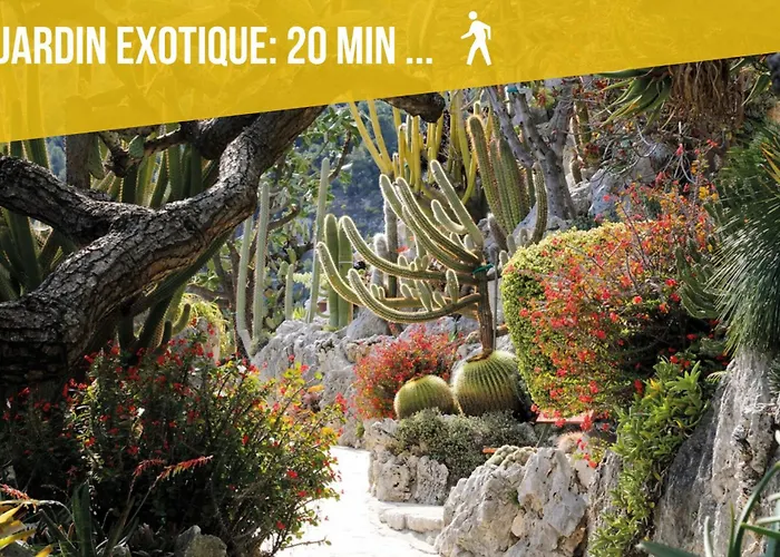 公寓 Serenity - Sea View - 2 Bedrooms, 3 Beds To 7 People 卡普戴尔